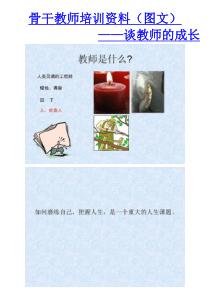 骨干教师培训资料图文