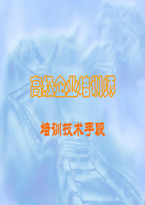 高级企业培训师(刘羚)