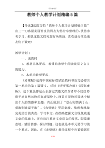 教师个人教学计划精编5篇