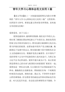 青年大学习心得体会范文实用3篇