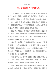 [500字]美丽的相遇作文