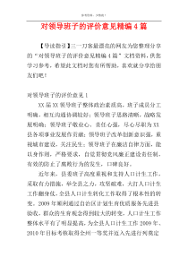 对领导班子的评价意见精编4篇