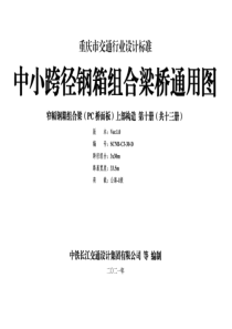 重庆市中小跨径钢箱组合梁桥通用图 CQJTGT D11-2021 第十分册