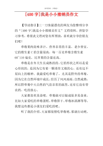 [400字]我是小小推销员作文