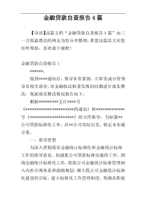 金融贷款自查报告4篇