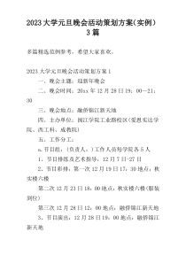 2023大学元旦晚会活动策划方案（实例）3篇