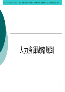 244人事日报表