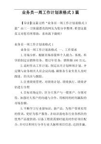 业务员一周工作计划表格式3篇