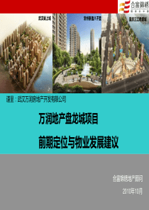 XXXX1022万润盘龙城项目前期定位与物业发展建议(汇报稿)