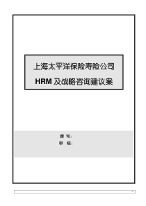 上海太保HRM及战略咨询建议方案