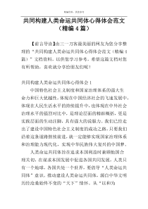 共同构建人类命运共同体心得体会范文（精编4篇）