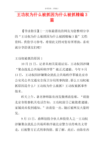 王功权为什么被抓因为什么被抓精编3篇