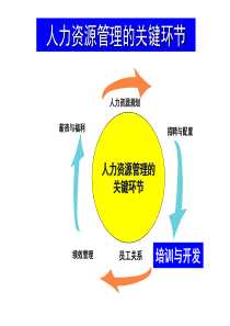 人力资源管理-培训与开发