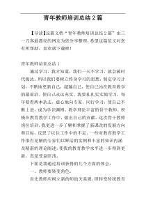 青年教师培训总结2篇