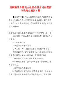 巡察整改专题民主生活会发言材料营商环境集合最新4篇