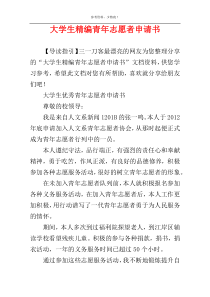 大学生精编青年志愿者申请书