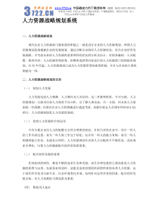 人力资源战略规划系统（DOC 8）