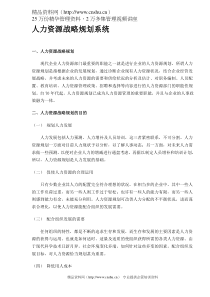 人力资源战略规划系统（DOC8）