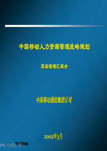 人力资源管理战略规划方案