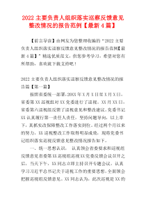 主要负责人组织落实巡察反馈意见整改情况的报告范例【2022最新4篇】