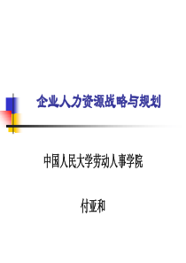 企业人力资源战略与规划(PPT228)