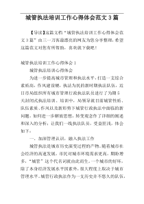 城管执法培训工作心得体会范文3篇