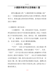 小摄影师教学反思精编5篇