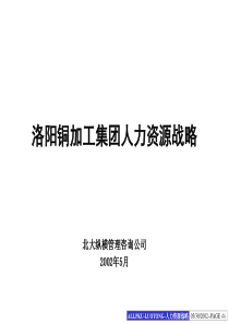 北大纵横--××集团人力资源战略