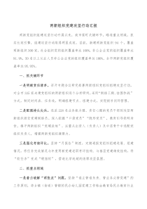 两新组织党建攻坚行动汇报