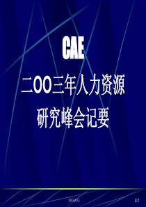 CAE二00三年人力资源研究峰会纪要