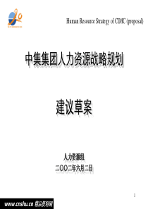 中集人力资源战略规划建议