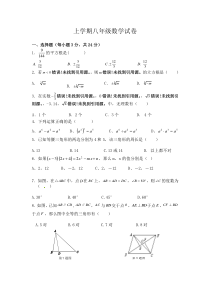 八年级数学上学期期中试卷及答案