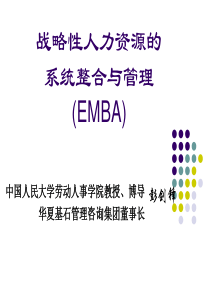 彭剑锋：战略性人力资源的系统整合与管理（EMBA）