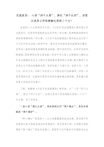 交流发言心系四个大局深化四个认识自觉以优异工作实绩献礼党的二十大