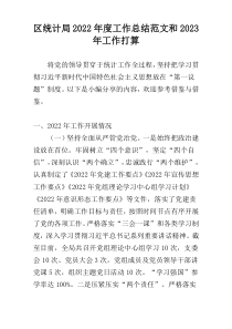 区统计局2022年度工作总结范文和2023年工作打算