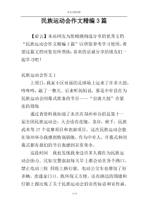 民族运动会作文精编3篇