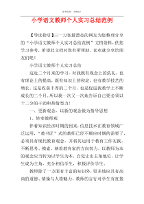 小学语文教师个人实习总结范例