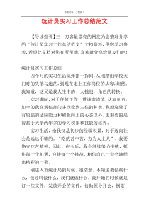 统计员实习工作总结范文