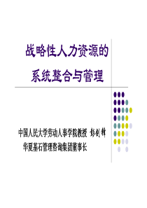 战略性人力资源的系统整合与管理（PDF 174页）