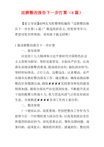 巡察整改报告下一步打算（4篇）