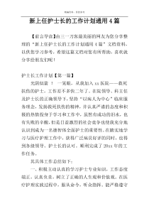 新上任护士长的工作计划通用4篇