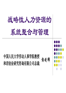 战略性人力资源的系统整合与管理彭剑锋