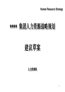 某某集团人力资源战略规划