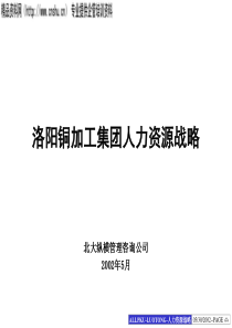 洛铜人力资源战略规划