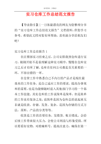 实习仓库工作总结范文报告