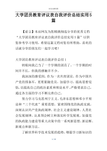 大学团员教育评议