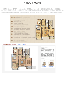 万科3G与4G精装修模式研究_52页