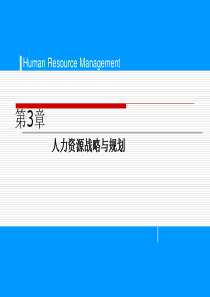 第三章人力资源管理战略与规划