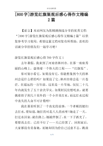 [800字]游览红旗渠观后感心得作文精编2篇