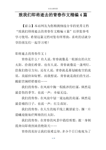 致我们即将逝去的青春作文精编4篇